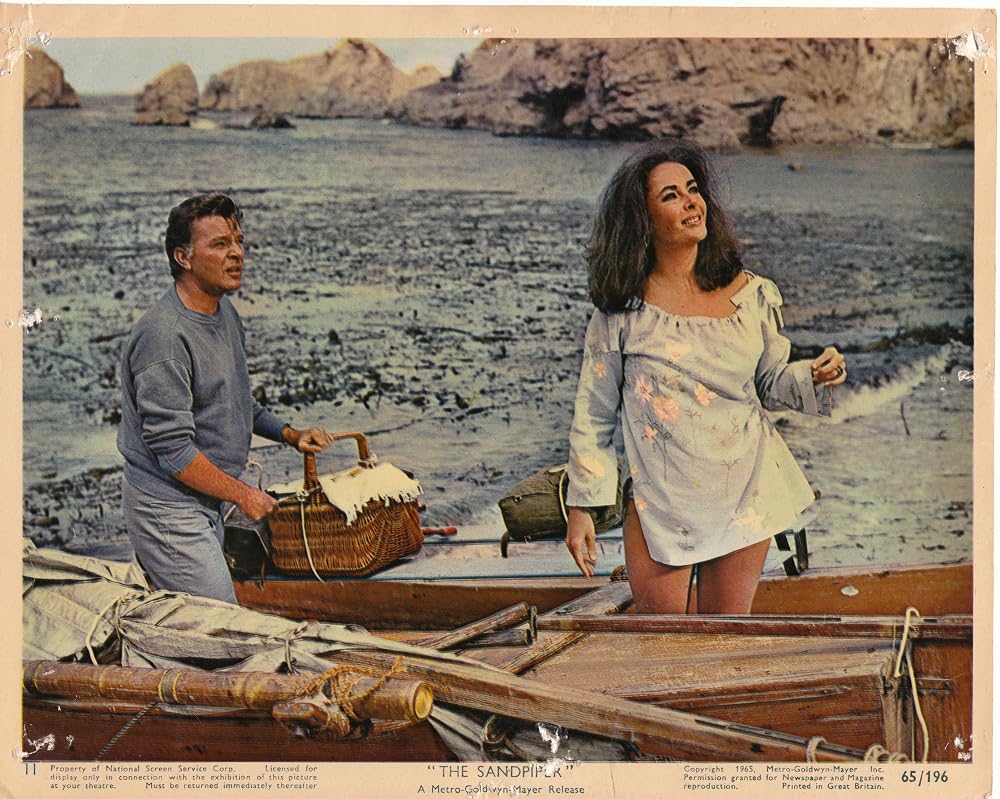 دانلود فیلم The Sandpiper 1965