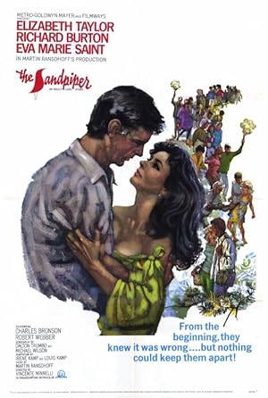 دانلود فیلم The Sandpiper 1965