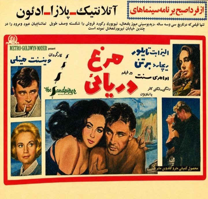 دانلود فیلم The Sandpiper 1965