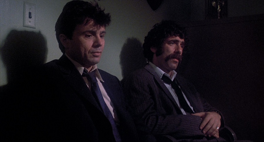 دانلود دوبله فارسی فیلم Busting 1974